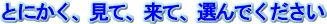 とにかく、見て、来て、選んでください